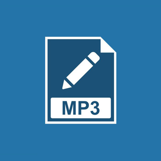 8 бесплатных редакторов тегов MP3, AAC, Flac, MP4, Wav